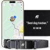 Fi Series 3 Smart Dog Collar-GPS Dog Tracker and Activity & Fitness Monitor,Escape Alerts (Grey, Large)