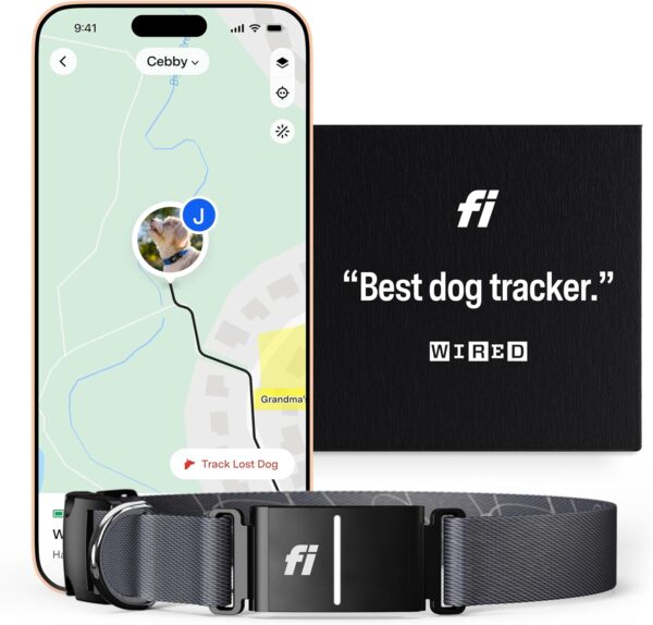 Fi Series 3 Smart Dog Collar-GPS Dog Tracker and Activity & Fitness Monitor,Escape Alerts (Grey, Large)